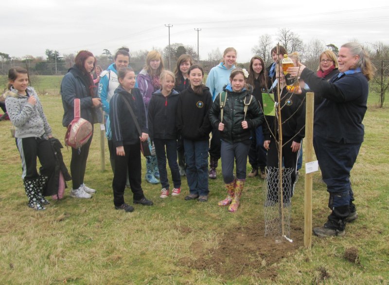 A final ceremony. Baptism of the new tree with Cider